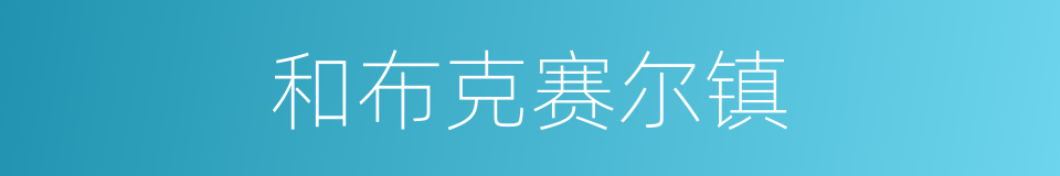 和布克赛尔镇的同义词