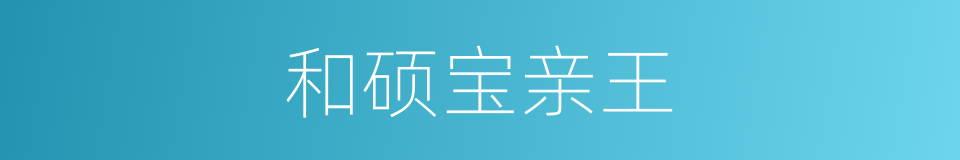 和硕宝亲王的同义词