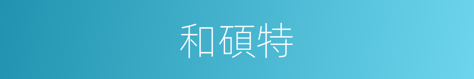 和碩特的同義詞