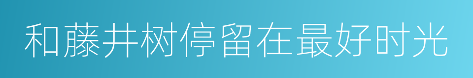 和藤井树停留在最好时光的意思