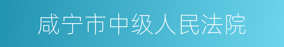 咸宁市中级人民法院的同义词