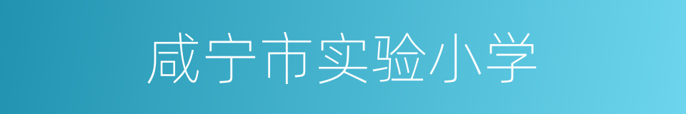 咸宁市实验小学的同义词