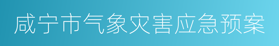 咸宁市气象灾害应急预案的同义词