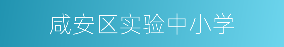 咸安区实验中小学的同义词