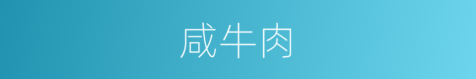 咸牛肉的同义词