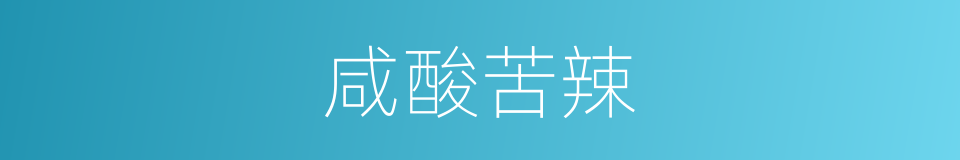 咸酸苦辣的意思