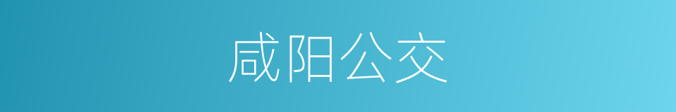 咸阳公交的同义词