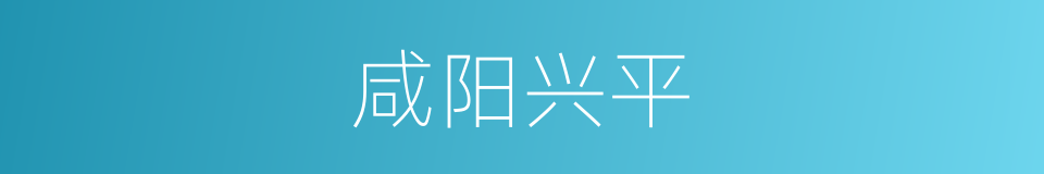 咸阳兴平的同义词