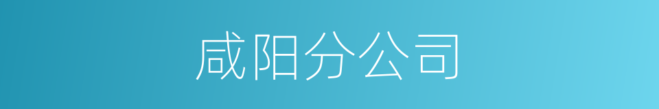 咸阳分公司的同义词