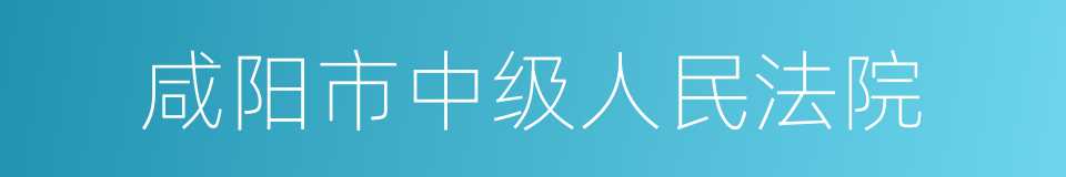 咸阳市中级人民法院的同义词