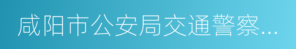 咸阳市公安局交通警察支队的同义词