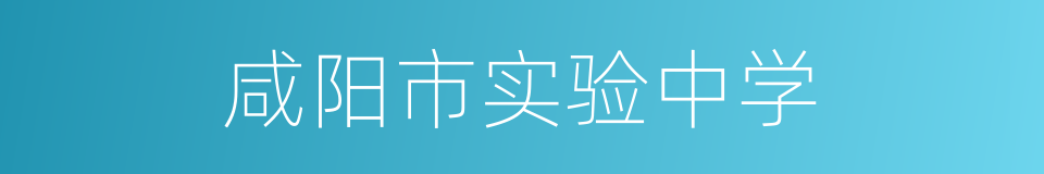 咸阳市实验中学的同义词