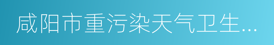 咸阳市重污染天气卫生应急预案的同义词