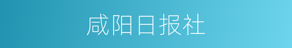 咸阳日报社的同义词