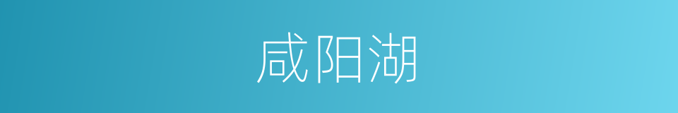 咸阳湖的同义词
