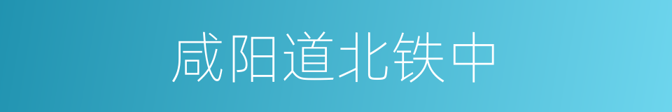 咸阳道北铁中的同义词