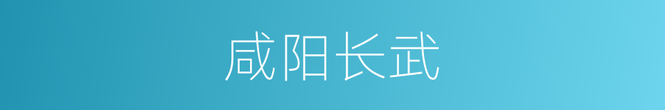 咸阳长武的同义词