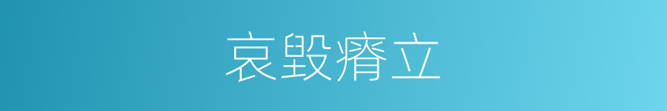 哀毀瘠立的意思