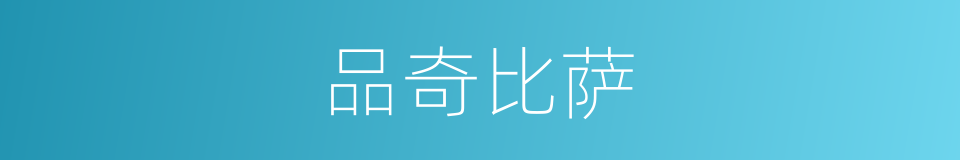 品奇比萨的同义词