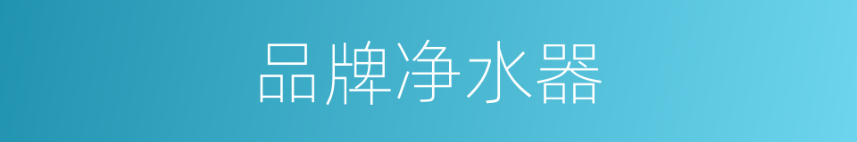 品牌净水器的同义词
