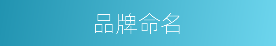 品牌命名的同义词