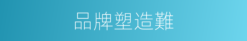 品牌塑造難的同義詞