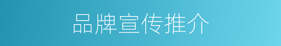 品牌宣传推介的同义词
