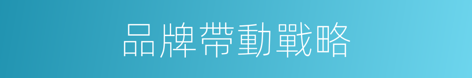 品牌帶動戰略的同義詞