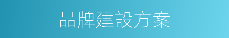 品牌建設方案的同義詞