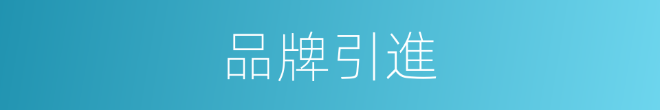 品牌引進的同義詞