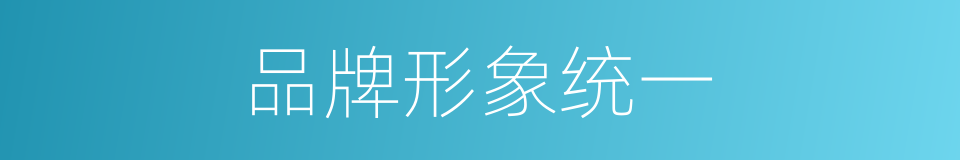 品牌形象统一的同义词