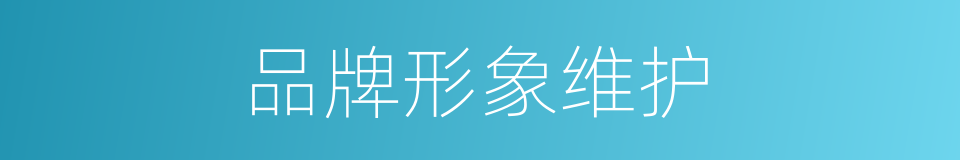 品牌形象维护的同义词