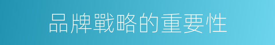 品牌戰略的重要性的同義詞