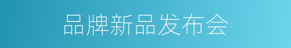 品牌新品发布会的同义词