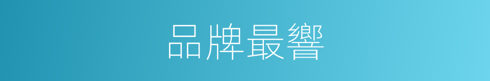 品牌最響的同義詞
