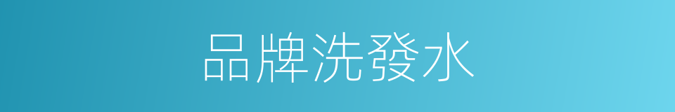 品牌洗發水的同義詞