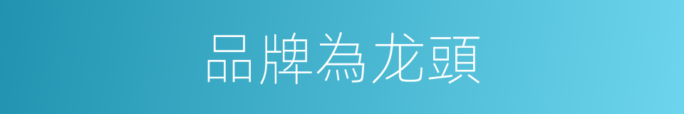品牌為龙頭的同義詞