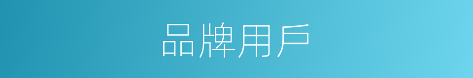 品牌用戶的同義詞