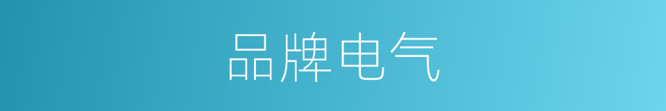 品牌电气的同义词
