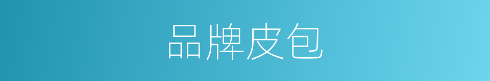 品牌皮包的同义词