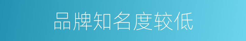 品牌知名度较低的同义词