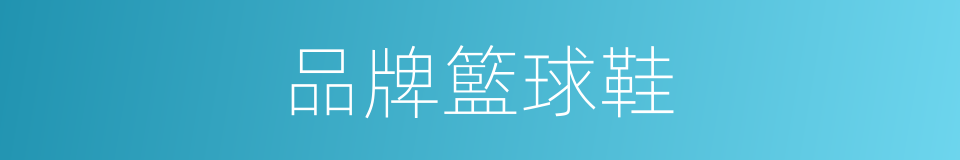 品牌籃球鞋的同義詞