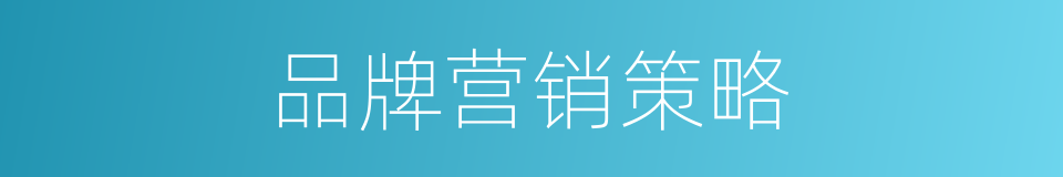 品牌营销策略的同义词