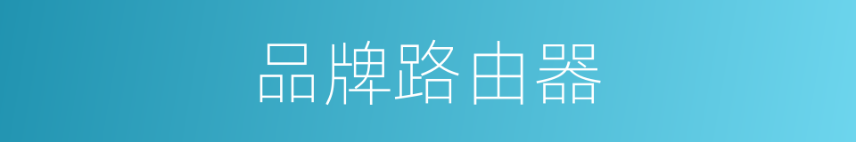 品牌路由器的同义词