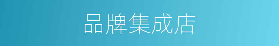 品牌集成店的同义词
