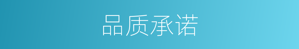 品质承诺的同义词