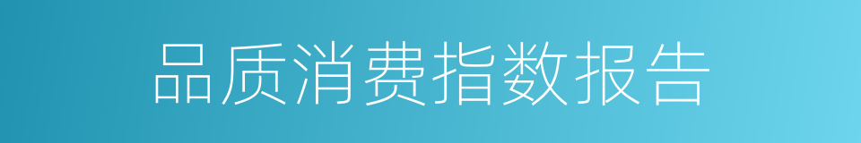 品质消费指数报告的同义词