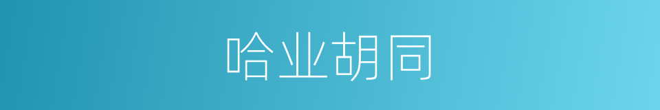 哈业胡同的同义词