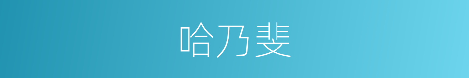 哈乃斐的同义词