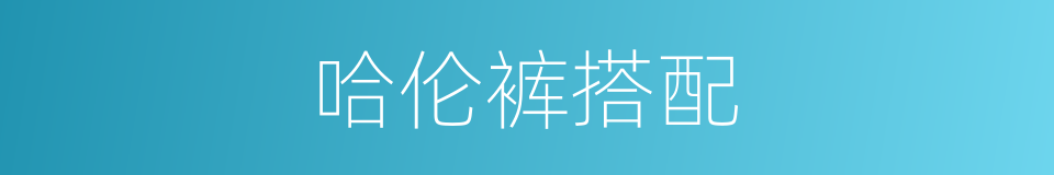 哈伦裤搭配的同义词
